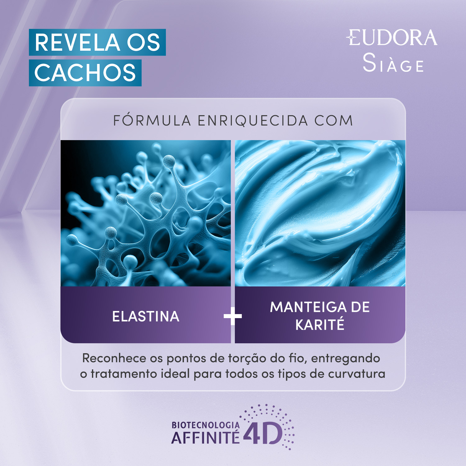 fd355507bf423a8c9aa6f8a8620d8b7220d66654c3248412bd71ad560e9b548e.jpg